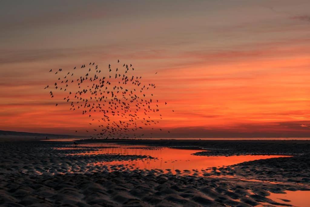 Hoekje Up Katwijk aan Zee Exterior photo
